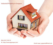 Industrial Property in Gurgaon 